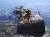 post-rocks-dock1641
